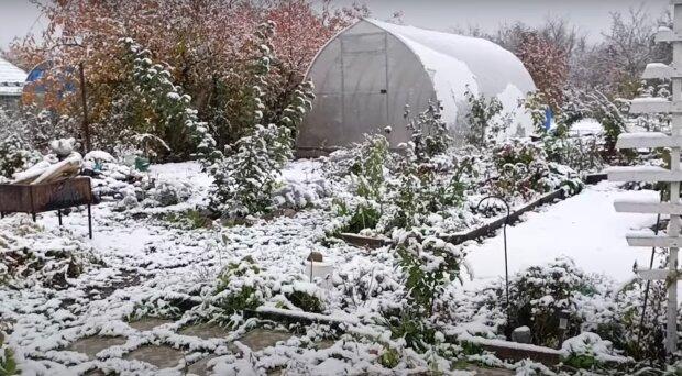 Spring Preparation: Activities for Gardeners and Dacha Owners in February